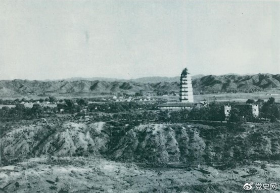 1636354625693439.jpg 11.7.jpg